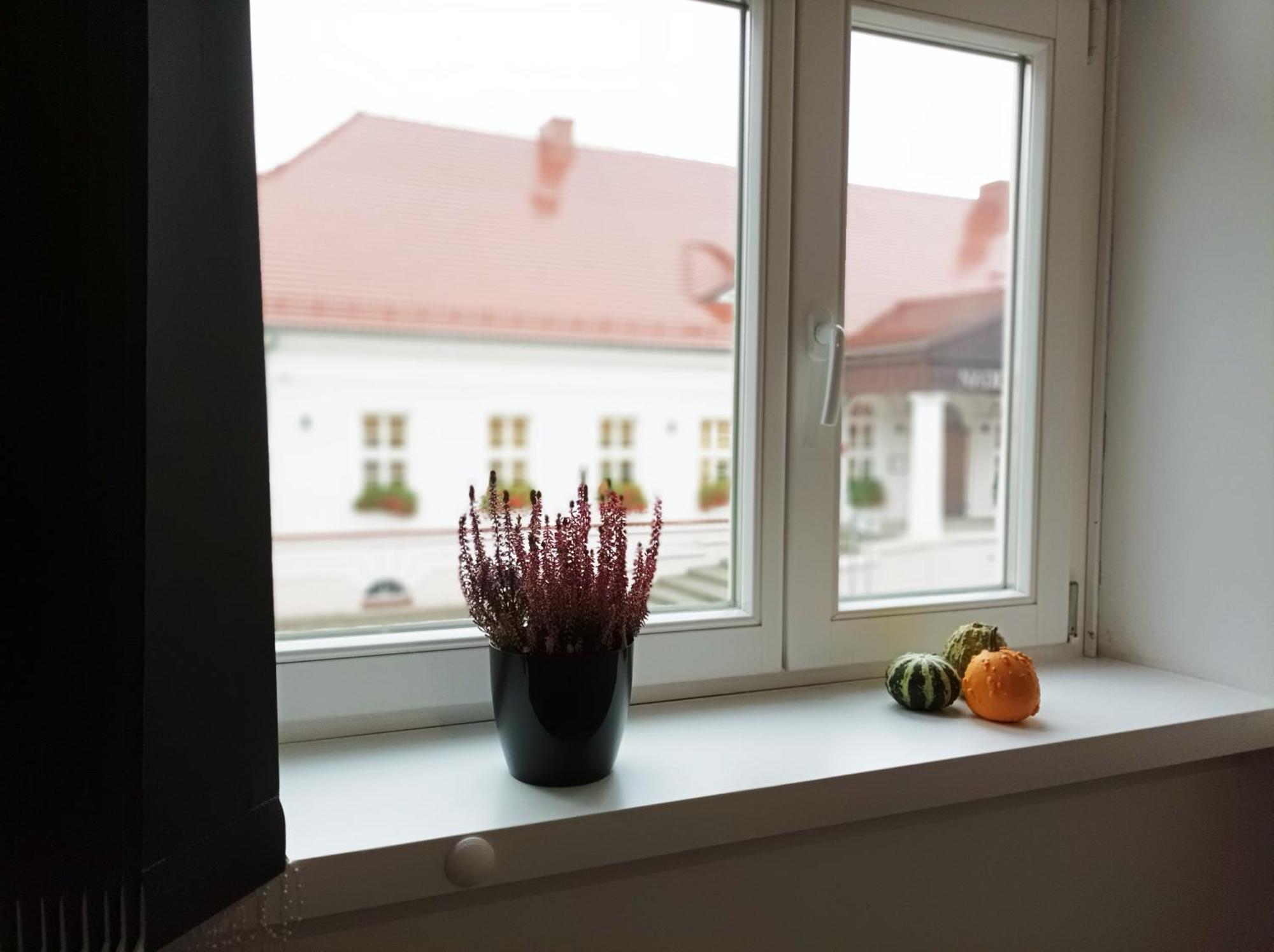 Pokoje Pod Palacem Koszecin Kültér fotó